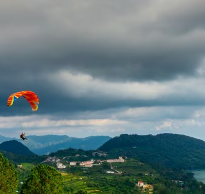 Adventure and Wildlife