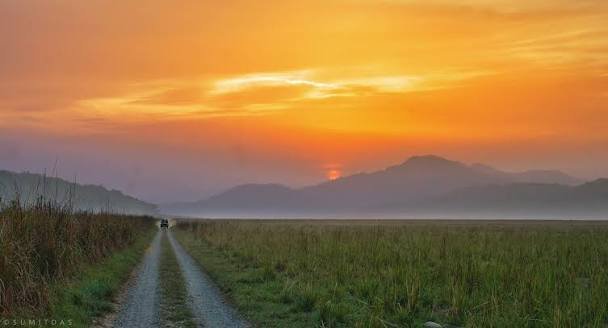 Corbett Tiger Sightings