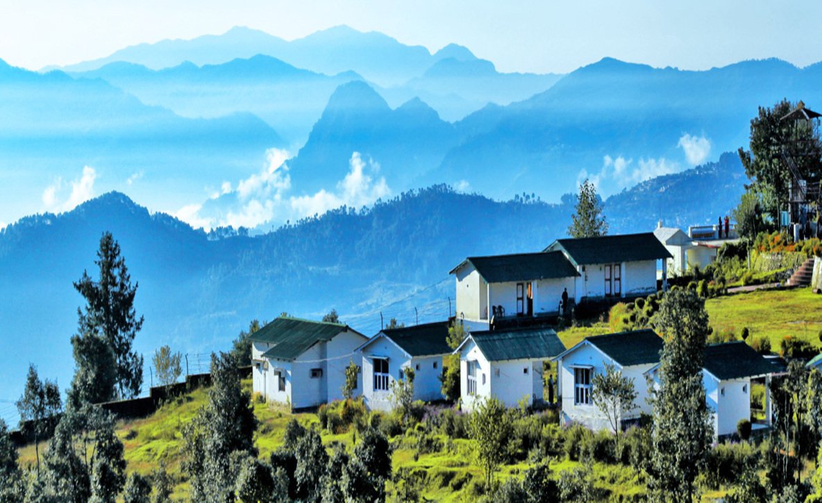 Chaukori Tea Gardens