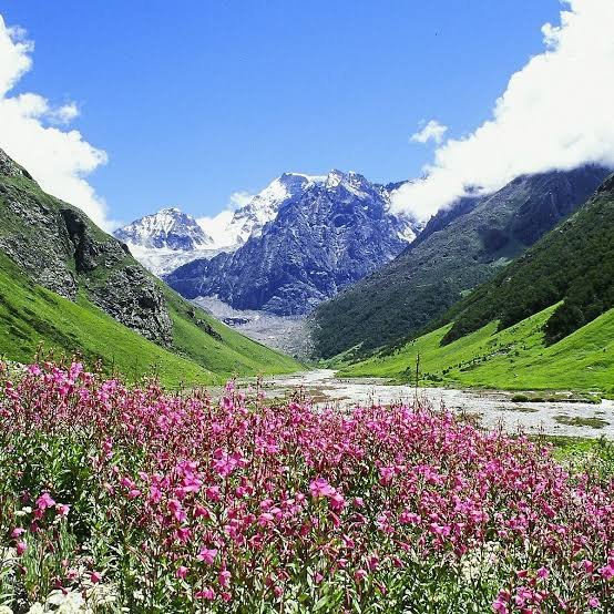 Valley of Flowers National Park