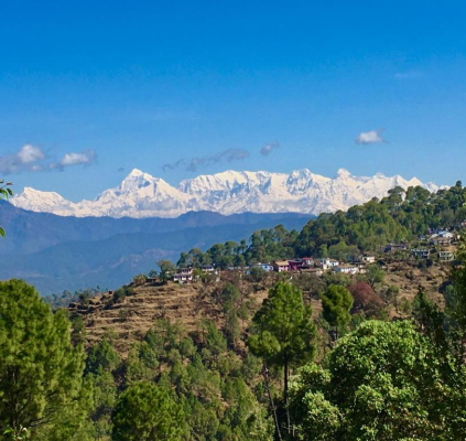 Panoramic Himalayan Views